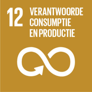 The Global Goals - SDG 12