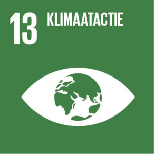 The Global Goals - SDG 13